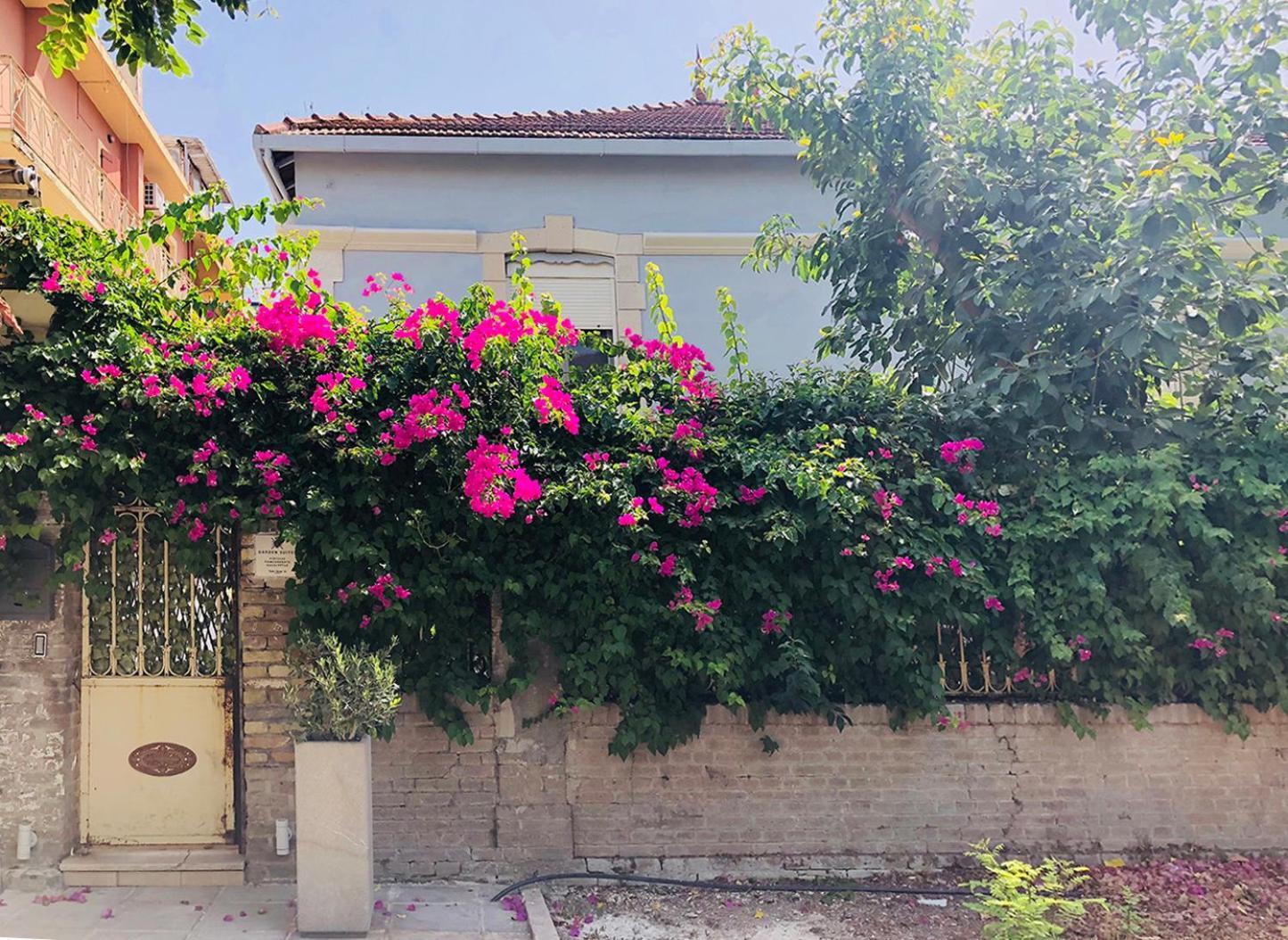 Garden Suites Corfu  Exterior photo